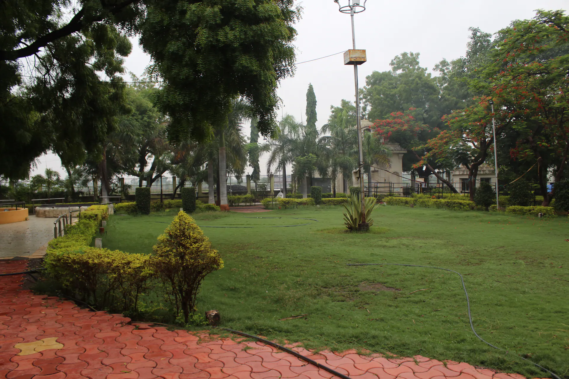 Green lawn and trees within the Saidham Mandir campus